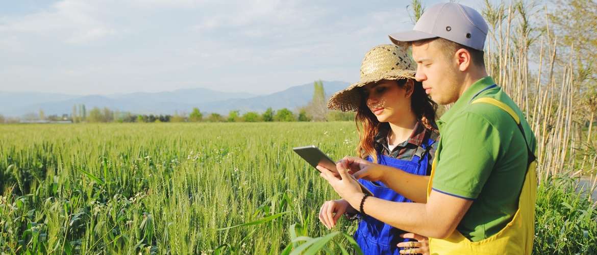 Internet das Coisas conheça 4 casos de uso da tecnologia na agricultura