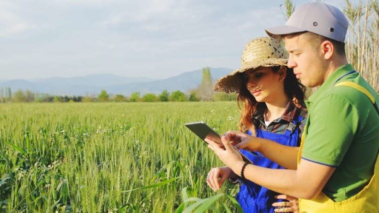 Internet das Coisas conheça 4 casos de uso da tecnologia na agricultura