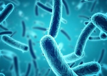 Descubra como um algoritmo de IA ajudou a desenvolver um antibiótico capaz de matar superbactérias?