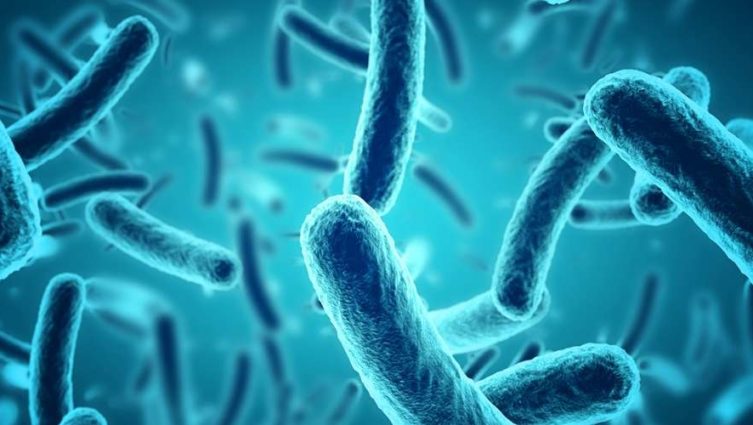 Descubra como um algoritmo de IA ajudou a desenvolver um antibiótico capaz de matar superbactérias?