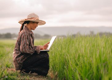 conectividade para o agronegocio