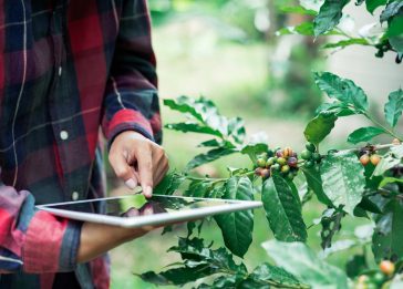 inteligencia artificial alimentos