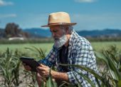 conectividade rural